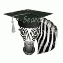 Graduating Zebra