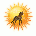 Sunshine Horse