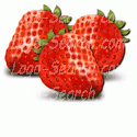 Luscious Strawberries