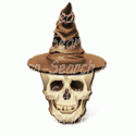Skull with Witches Hat